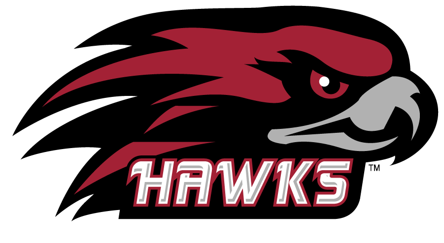 St. Joseph's Hawks 2002-2007 Secondary Logo diy DTF decal sticker